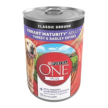 Amazon.com: Purina ONE Plus Classic Ground Vibrant Maturity